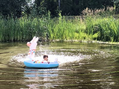 Bild 9 aus  Hof Obst – Stauden, Kräuter und Tiere im Dosse-Seen-Land