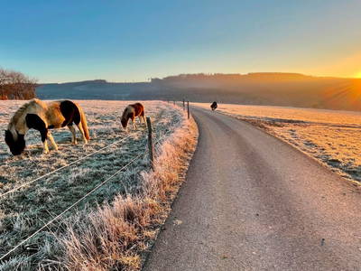 Bild 13 aus  Ferienwohnung Flender