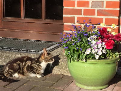 Bild 23 aus  Ferienhof Marquardt