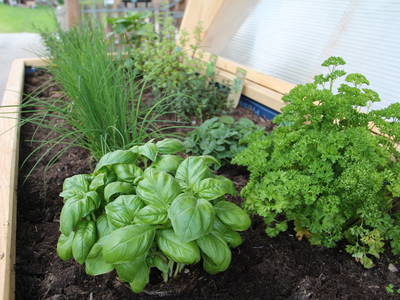 Bild 8 aus  Boznermüllerhof