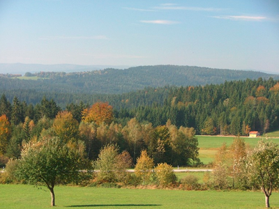 Bild 7 aus  Ferienhof Pauli