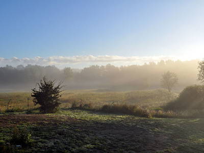 Bild 11 aus  Kwaśne Jabłko Apfelweingut & Bauernhof