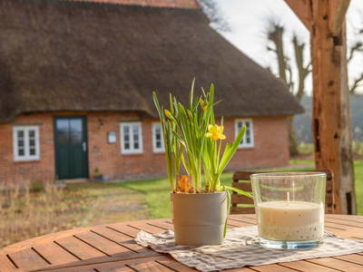 Bild 11 aus  Fachwerkhof Lintel