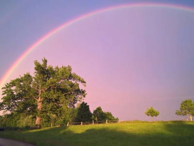 Bild 26 aus  Ferienwohnungen Beim Danner