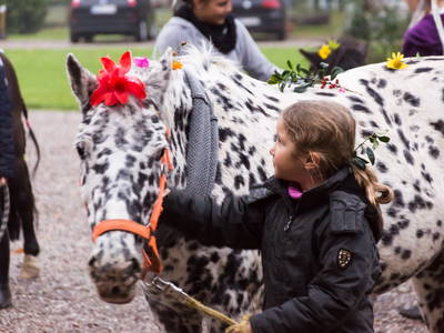 Bild 20 aus  LandSelection Gut Gaarz