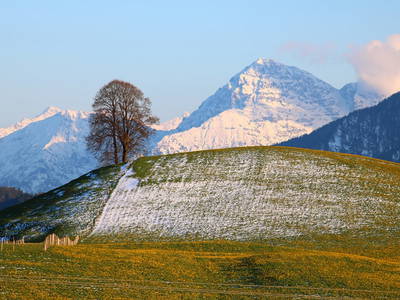 Bild 7 aus  Ferienhof Hitzelberger