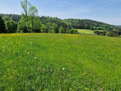 Bild 26 aus  Edlgütl Dein Hideaway