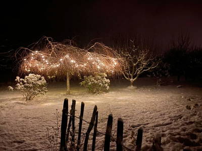 Bild 15 aus  Ferienhof Höffler/im Sternenpark Westhavelland