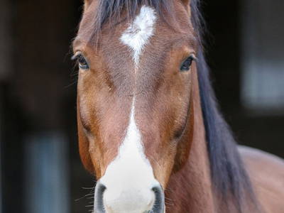 Bild 19 aus  Fenwick Farm