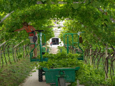 Bild 10 aus  Finkenhof