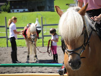 Bild 11 aus  Haus Bergquell mit Pferdestall