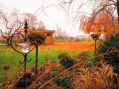 Bild 6 aus  Hof Letsch