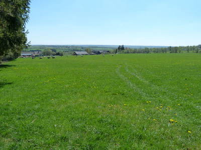 Bild 21 aus  Victorhof Ferienwohnungen