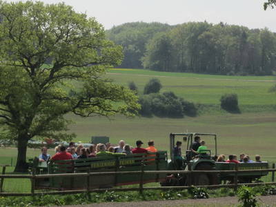 Bild 15 aus  Ferienhof Feinen