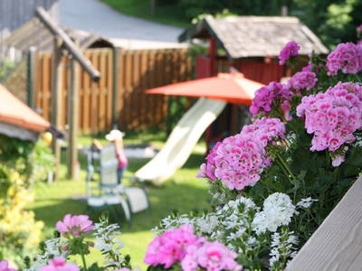 Bild 25 aus  Herbstbauernhof