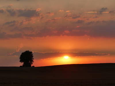 Bild 19 aus  Bio-Wildhof in Alleinlage mit  Boot