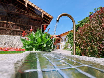 Bild 9 aus  Moierhof Gstadt am Chiemsee