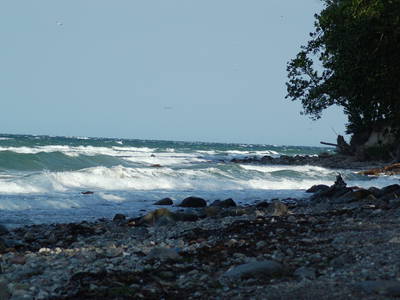 Wellengang bei Ostwind