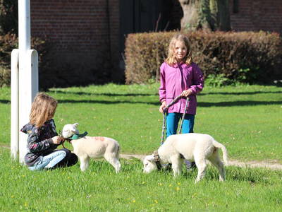 Bild 23 aus  Gut Friederikenhof