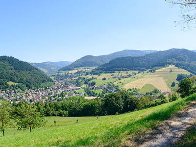 Bild 40 aus  Willkommen bei Familie Gutmann  auf dem Itzenwaldhof