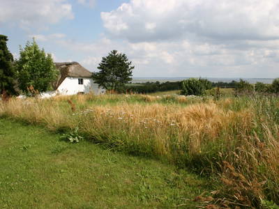 Bild 30 aus  Springbakgaard