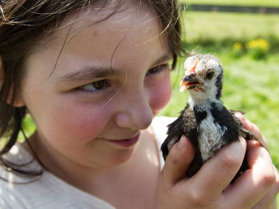 Bild 24 aus  Ferienhof Stegen