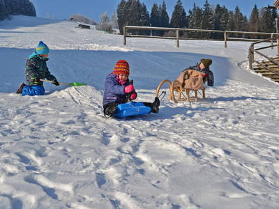 Bild 24 aus  LandSelection Bussjägerhof