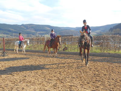 Bild 58 aus  Ferienhof Pulte