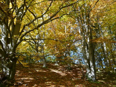 Bild 36 aus  Gästehaus im Lochautal