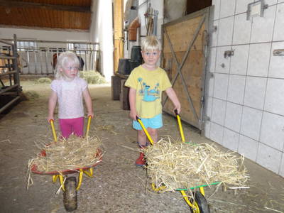 Bild 28 aus  Haberlhof