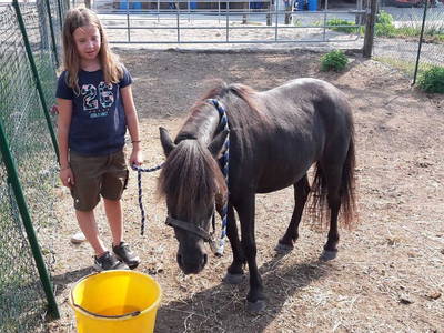 Bild 12 aus  Ferienhof Neher