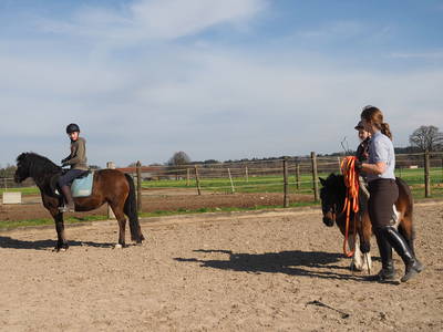 Bild 25 aus  Springerhof