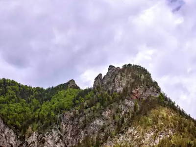 Bild 22 aus  Wiesenhäusl