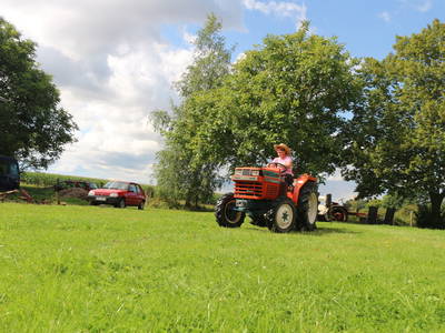 Bild 32 aus  Forsthof Niendorf