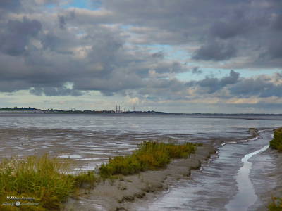 Bild 34 aus  Katrin's Ferienhof