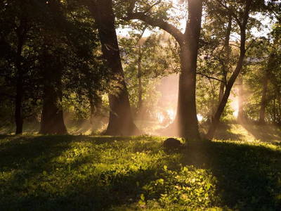 Bild 20 aus  Ferien am Schloss