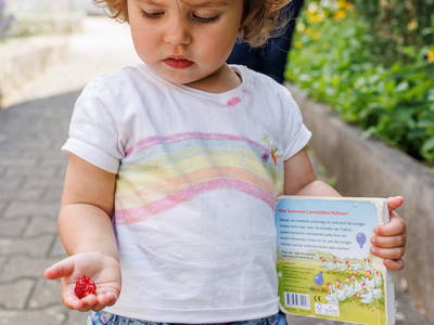 Bild 30 aus  Hof am KrämersBug