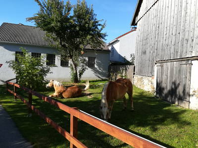 Bild 12 aus  Ferienhof Landhaus Guglhupf