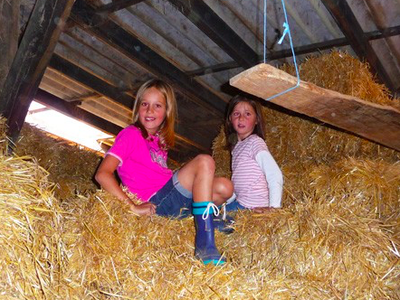 Bild 13 aus  Ferienhof Dingeldey