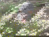 Bild 20 aus  Ferienhof Haselheide