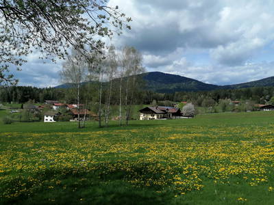 Bild 3 aus  Ferienwohnung Josef Müller