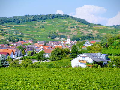 Bild 2 aus  Winzerhof + Gästehaus Schätzle