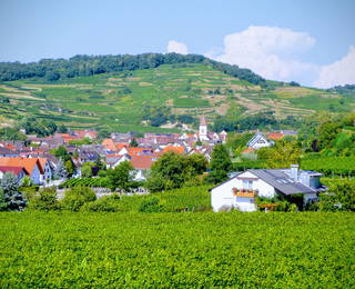 Winzerhof + Gästehaus Schätzle aus Vogtsburg (Kaiserstuhl)