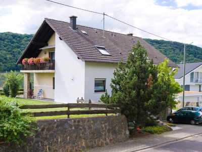 Bild 2 aus  Ferienweingut Bollig