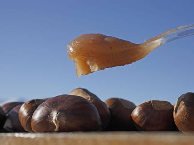 Bild 20 aus  Stettnerhof