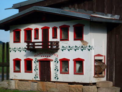 Bild 9 aus  Ferienhof Richter