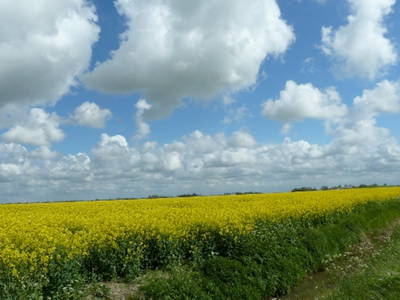 Bild 11 aus  Der Liethshof