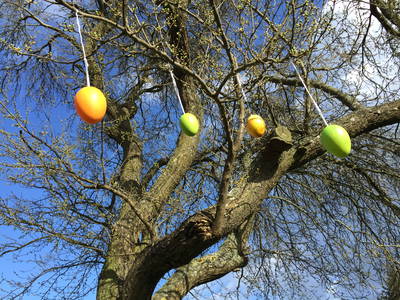 Bild 61 aus  Ahoi Ostsee:  Bauernhof und OstseeUrlaub - Ferienhof Becker in Dahme
