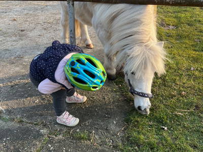 Bild 9 aus  Ferienhof Westermann