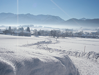 Bild 23 aus  Meisterhof